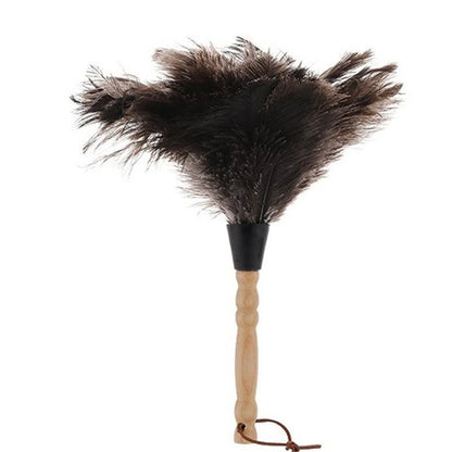 plumeau-poussiere-plumes-d-autruche